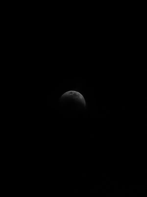 DSC_0086